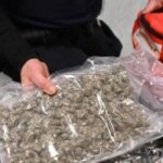 belgian-judge:-country-at-risk-of-becoming-‘narco-state’