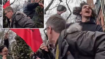 dramatic-moment-accused-isis-loving-terrorist-throws-bomb-at-gracie-mansion