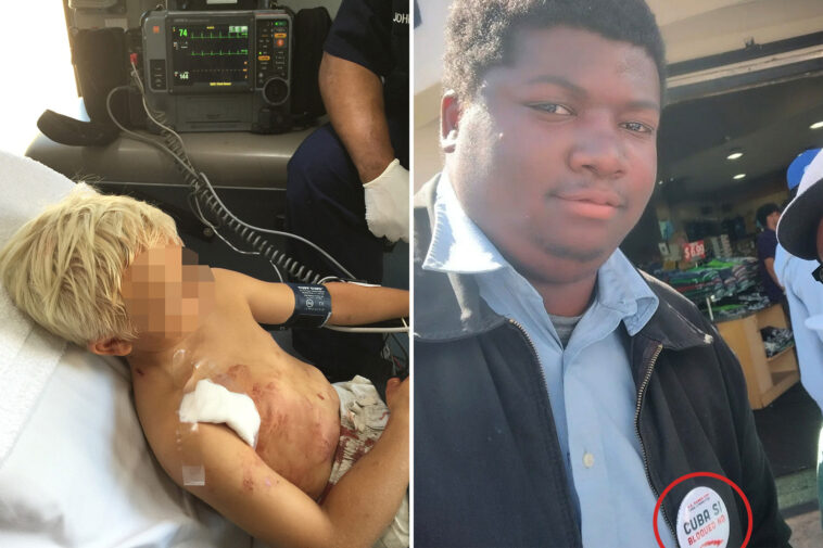 far-left-la-city-council-candidate-brutally-stabbed-boy,-8,-during-gaming-session:-suit