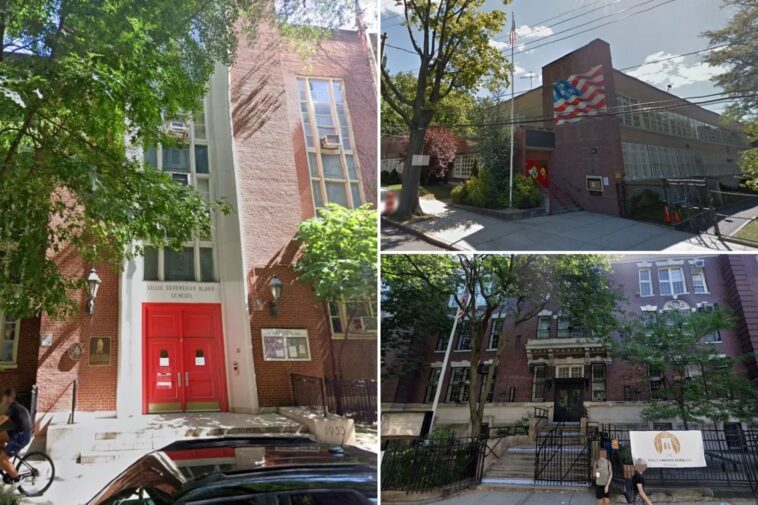 ‘racist’-zoning-blocks-poorer-minority-students-in-new-york-from-best-public-elementary-schools:-study