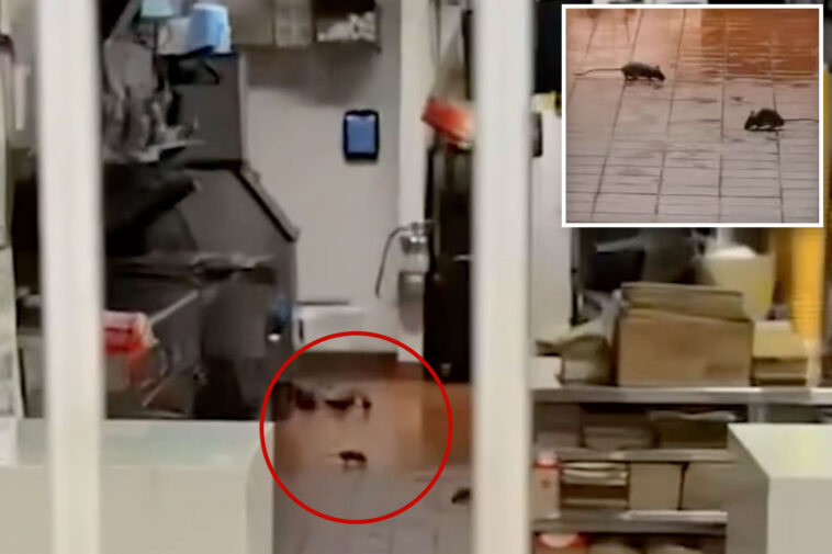 disgusting-video-shows-huge-rats-scampering-across-floor-at-mcdonald’s-inside-walmart