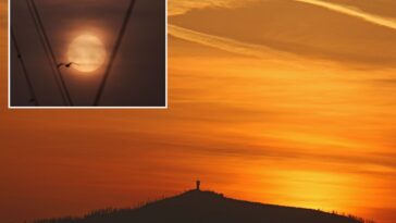 blood-rain-—-a-rare-weather-phenomenon-—-falls-across-southern-europe