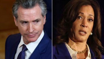 polling-pain-for-newsom-and-harris-as-wild-percentages-of-dems-hold-negative-views-of-both