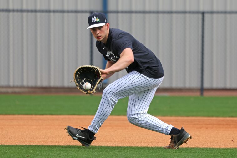yankees’-ben-rice-flashes-glove-at-first-base-with-diving-catch