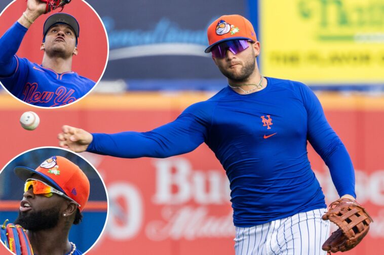 why-bo-bichette-is-the-key-to-the-mets-pulling-off-this-radically-revamped-defense