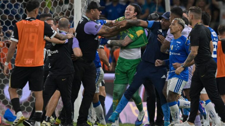 is-23-red-cards-in-brazilian-mass-brawl-a-world-record?-not-even-close