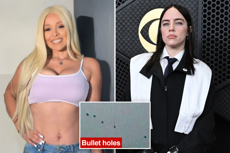 rihanna’s-alleged-shooter-also-went-after-billie-eilish-weeks-before-attack:-‘immediate-harm’
