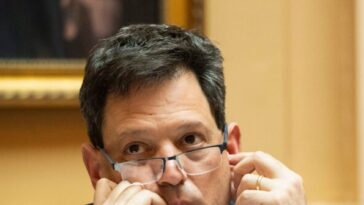 virginia-democrat-senate-leader-defends-ban-on-really-big-pistols-with-telescopes-on-them