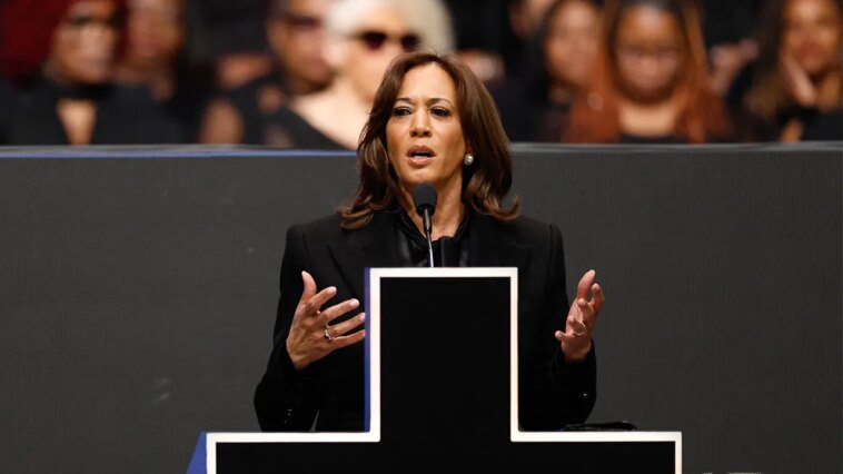 moderate-democrats-looking-past-kamala-harris-for-2028,-suggesting-party-‘start-over’