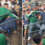usa,-mexico-fans-get-in-wild-fistfight-in-stands-at-world-baseball-classic