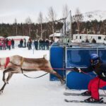 fans-line-up-in-frigid-temps-for-thrilling-reindeer-racing