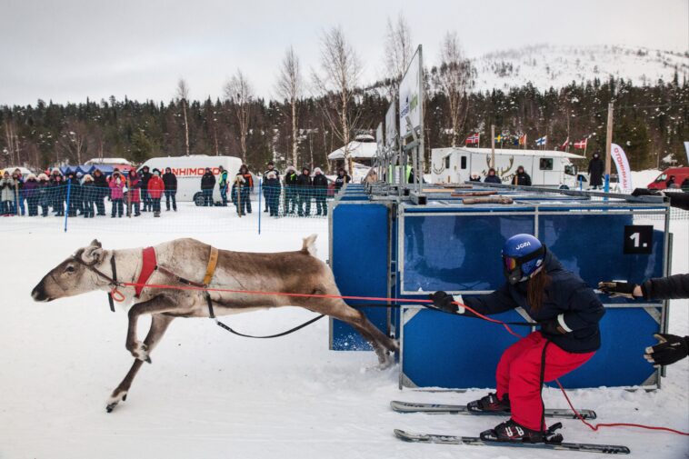 fans-line-up-in-frigid-temps-for-thrilling-reindeer-racing