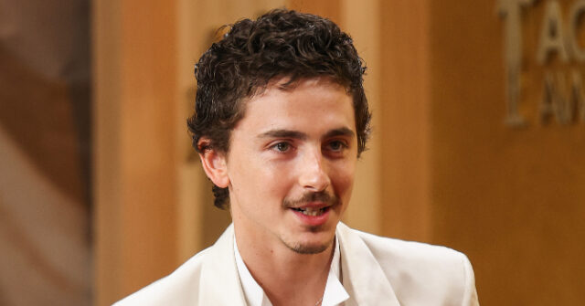 hollywood-stars-slam-timothee-chalamet-for-saying-‘no-one-cares’-about-ballet,-opera