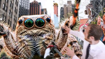 many-worried-that-the-giant-spiders-attacking-new-york-could-lead-to-an-increase-in-hateful-arachnophobia