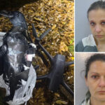 texas-pair-arrested-for-using-fake-crows-flown-by-drone-—-to-smuggle-these-illegal-items-into-louisiana-prison