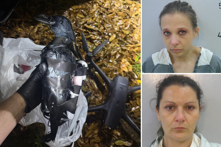texas-pair-arrested-for-using-fake-crows-flown-by-drone-—-to-smuggle-these-illegal-items-into-louisiana-prison