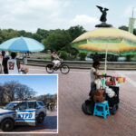 female-food-vendor-slashed-in-nyc-park-during-a-fight-over-turf