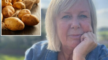 irish-woman-awarded-$31k-after-suing-boss-for-repeatedly-hurling-‘potato’-slur-—-other-‘humiliating’-terms-at-her