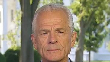 navarro:-‘it’s-not-just’-‘imminent-national-security-threat’,-iran-has-‘terror-premium’-on-oil-prices