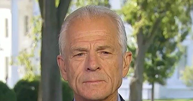 navarro:-‘it’s-not-just’-‘imminent-national-security-threat’,-iran-has-‘terror-premium’-on-oil-prices