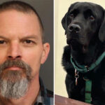 judge-declares-mistrial-for-man-accused-of-killing-neighbor’s-yellow-lab-after-court-therapy-dog-wanders-into-jury-room