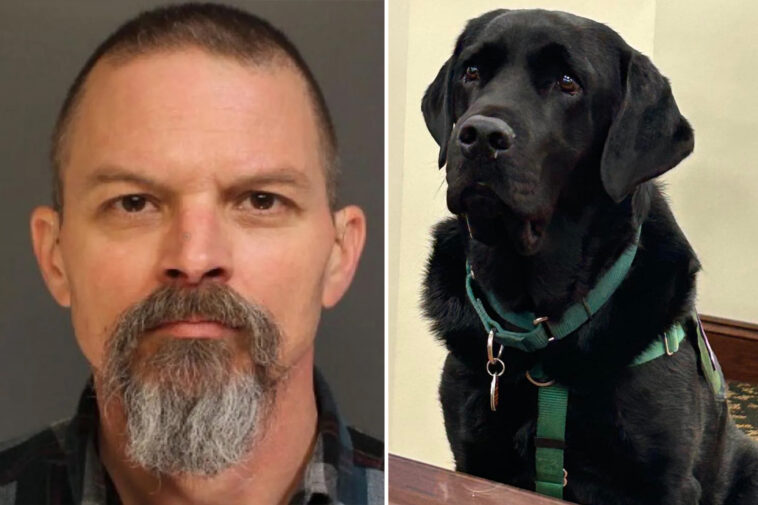 judge-declares-mistrial-for-man-accused-of-killing-neighbor’s-yellow-lab-after-court-therapy-dog-wanders-into-jury-room