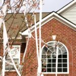 family-of-teacher-killed-in-school-prank-gone-wrong-urges-charges-against-students-to-be-dropped,-citing-christ