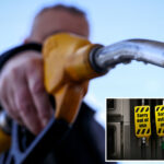 iea-to-recommend-release-of-record-400m-oil-barrels-to-curb-soaring-prices-due-to-iran-war:-report