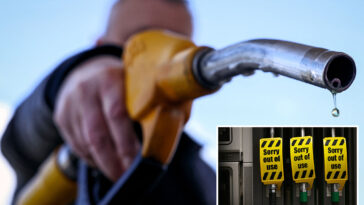 iea-to-recommend-release-of-record-400m-oil-barrels-to-curb-soaring-prices-due-to-iran-war:-report