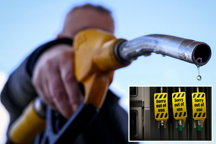 iea-to-recommend-release-of-record-400m-oil-barrels-to-curb-soaring-prices-due-to-iran-war:-report