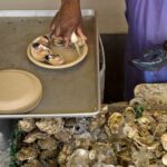 sewage-spill-in-potomac-river-crushes-oyster-industry-as-seafood-season-ramps-up:-‘it’s-devastating-us’