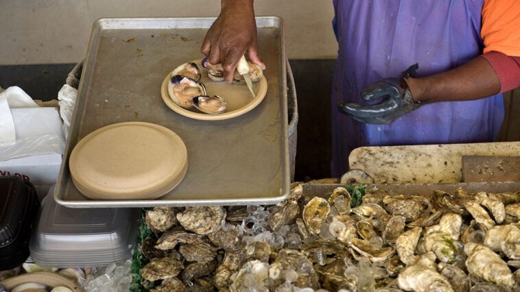 sewage-spill-in-potomac-river-crushes-oyster-industry-as-seafood-season-ramps-up:-‘it’s-devastating-us’
