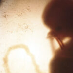 wyoming-governor-signs-bill-restricting-abortion-once-fetal-heartbeat-is-detected