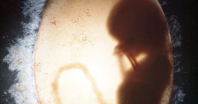 wyoming-governor-signs-bill-restricting-abortion-once-fetal-heartbeat-is-detected