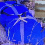 husband,-75,-busted-after-dismembered-remains-of-his-much-younger-wife-found-scattered-in-nyc:-cops