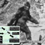 bigfoot-sightings-light-up-the-gloomiest-corner-of-ohio-—-residents-report-dogs-are-‘shaking-in-fear’