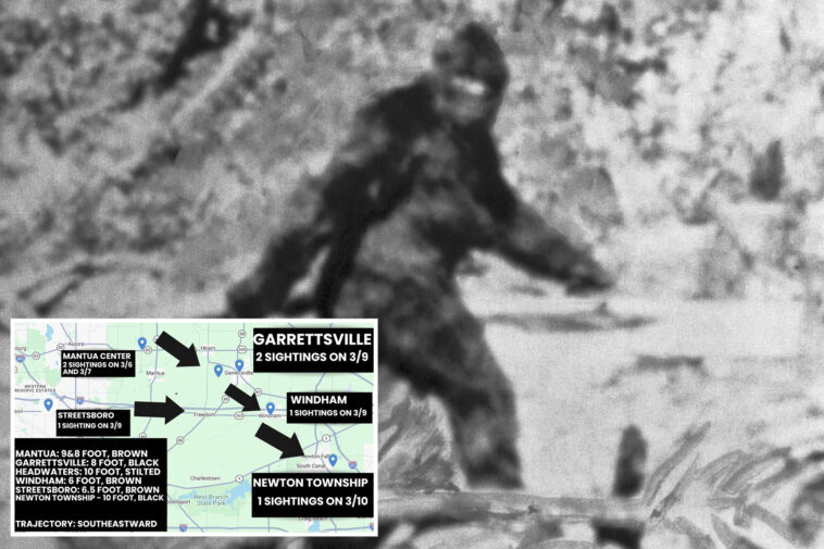 bigfoot-sightings-light-up-the-gloomiest-corner-of-ohio-—-residents-report-dogs-are-‘shaking-in-fear’