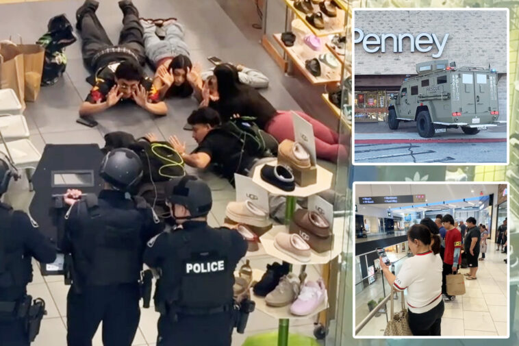 cops-storm-socal-mall-after-hoax-call-targets-streamers-filming-with-child