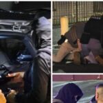 ice-houston-arrests-414-illegal-alien-child-predators-in-trump’s-first-year-back-—-nearly-double-biden’s-final‑year-total