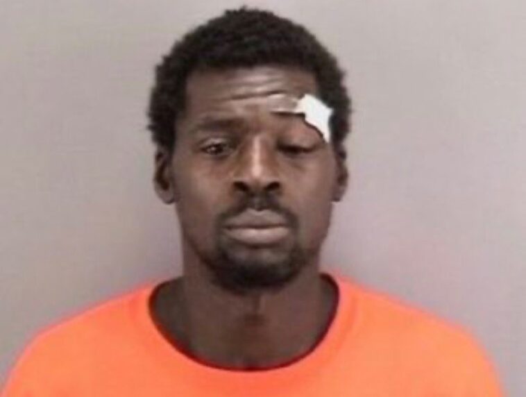 homeless-man-who-violently-attacked-san-francisco-mayor’s-security-detail-released-from-jail-after-judge-says-bodyguard-instigated-fight