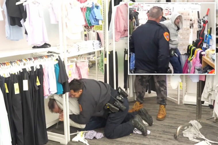wild-video-shows-long-island-man-bite-cop,-call-mom-and-crawl-through-target-as-‘predator’-sting-goes-off-rails