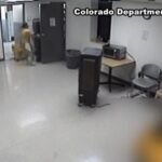 breaking:-tina-peters-found-not-guilty-after-being-attacked-by-inmate-in-prison