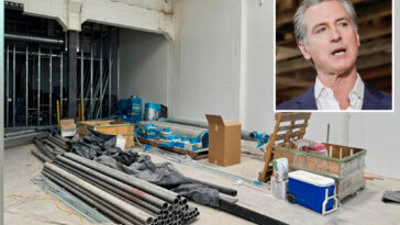 gavin-newsom-promised-over-one-hundred-mental-health-projects-—-many-are-still-abandoned