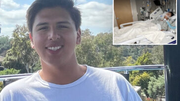 horror-as-california-eagle-scout-dies-after-being-bit-by-a-rattlesnake