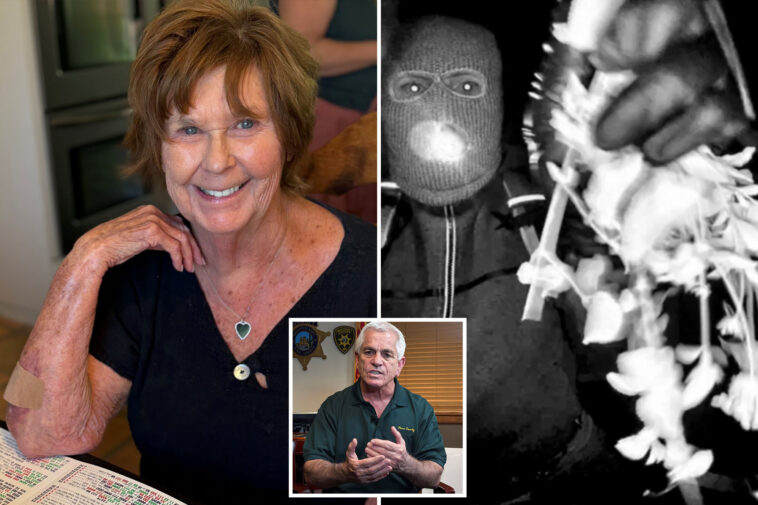 sheriff-leading-nancy-guthrie-case-thinks-he-knows-why-mom-was-‘targeted’-—-warns-suspect-could-strike-again