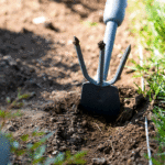 victory-garden:-cut-grocery-bills-and-healthcare-costs-with-one-simple-backyard-habit