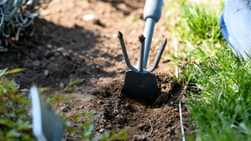 victory-garden:-cut-grocery-bills-and-healthcare-costs-with-one-simple-backyard-habit