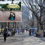 nyc-food-vendor-busted-for-slashing-her-competitor-in-daylight-central-park-turf-battle:-da,-sources