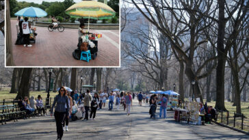 nyc-food-vendor-busted-for-slashing-her-competitor-in-daylight-central-park-turf-battle:-da,-sources