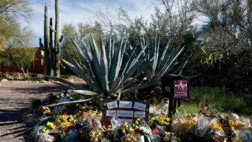 pima-county-sheriff-says-he-thinks-he-knows-why-nancy-guthrie-was-targeted,-warns-suspect-could-strike-again